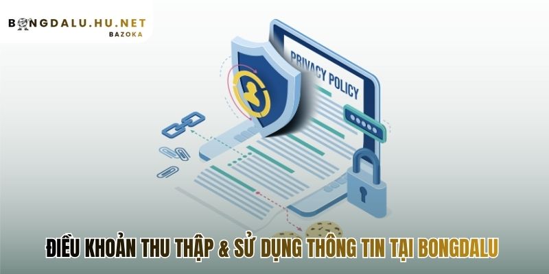 Điều khoản thu thập giải thích cách thức chúng tôi dùng dữ liệu